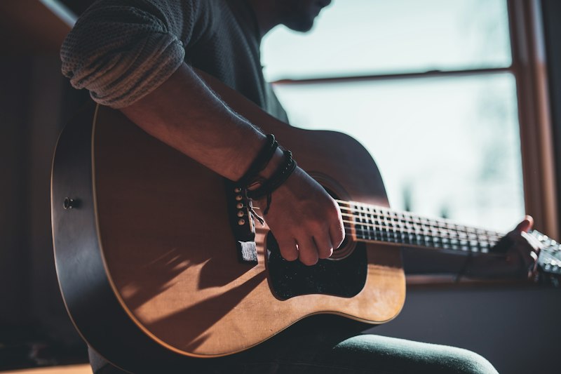 Guitar fretboard detail